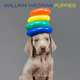 Календарь 2015 (на скрепке). William Wegman Puppies, William Wegman 