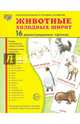 Демонстрационные картинки "Животные холодных широт" (173х220 мм), Цветкова Т. В. 