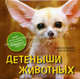 Детеныши животных, Эндрю Блэйман, Крис Истланд 