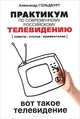 Практикум по современному российскому телевидению. Вот такое телевидение. Советы, статьи, комментарии. Учебное пособие, Александр Гольдбурт 