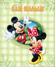 DISNEY. АЛЬБОМ ДЛЯ ФОТО. НАШ МАЛЫШ (МИККИ) 230х270, 