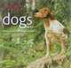 Dogs: A-G, 