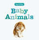 Baby Animals, 