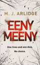 Eeny Meeny, Brook Rhidian 