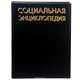 Социальная энциклопедия, 