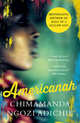 Americanah, Chimamanda Ngozi Adichie 
