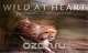 Wild at Heart: Man and Beast in Southern Africa, Chris Johns 