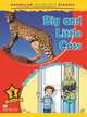 Big and Little Cats. Grandad's Weekend with Leo. Level 3, Degnan-Veness Coleen 