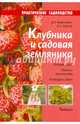 Клубника и садовая земляника., Никиточкин Дмитрий Николаевич, Сырицо Ольга Александровна 