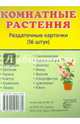 Демонстрационные картинки СУПЕР Комнатные растения.16 раздаточных карточек с текстом( 63х87мм), 