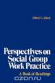 Perspectives on Social Group Work Practice, 