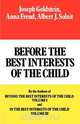 Before the Best Interests of the Child, Joseph Goldstein 