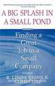 Big Splash in Small Pond, R. Linda Resnick 