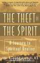 Theft of the Spirit, Carl A. Hammerschlag 