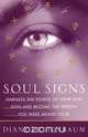 Soul Signs, Diane Eichenbaum 