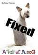 Fixed, Tessa L Freeman 
