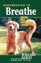 Remembering to Breathe, Willard Bailey 