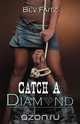 Catch a Diamond, Bev Faitz 