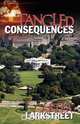 Tangled Consequences, Carter Larkstreet 