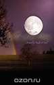 Valley of the Moon, Paula O