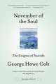 November of the Soul, George Howe Colt 