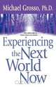 Experiencing the Next World Now, Michael Grosso 