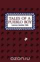 Tales of a Pueblo Boy, Lawrence Jonathan Vallo 