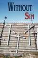 Without Sin, David S. McCabe 