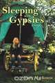 Sleeping with Gypsies, Ginny MacKenzie 
