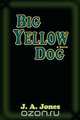 Big Yellow Dog, a Novel, J. A. Jones 
