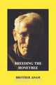 Breeding the Honeybee, Adam Brother 