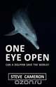One Eye Open, Steve Cameron 