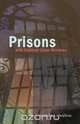 Prisons with Stained Glass Windows, Jonathan R Walton 