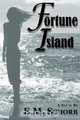 Fortune Island, E. M. Schorb 