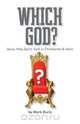 Which God? Jesus, Holy Spirit, God in Christianity and Islam, Mark Durie 