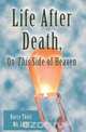 Life After Death, On This Side of Heaven, MA LMHC Darcy Thiel 