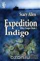 Expedition Indigo, Stacy Allen 