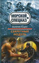 Секретный модуль., Рощин Валерий Георгиевич 