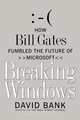 Breaking Windows, David Bank 