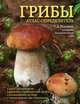 Грибы. Атлас-определитель, Ильина Татьяна Александровна 