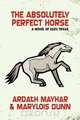 The Absolutely Perfect Horse, Ardath Mayhar 