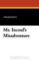 Mr. Incoul