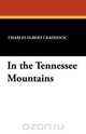 In the Tennessee Mountains, Charles Egbert Craddock 