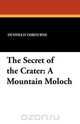 The Secret of the Crater, Duffield Osbourne 