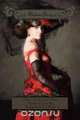 Madame Bovary, 