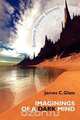 Imaginings of a Dark Mind, James C. Glass 