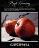Apple Growing, M.C. Burritt 