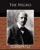 The Negro, W.E.B. Du Bois 