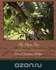 The Plum Tree, David Graham Phillips 