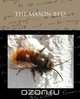 The Mason-bees, J. Henri Fabre 